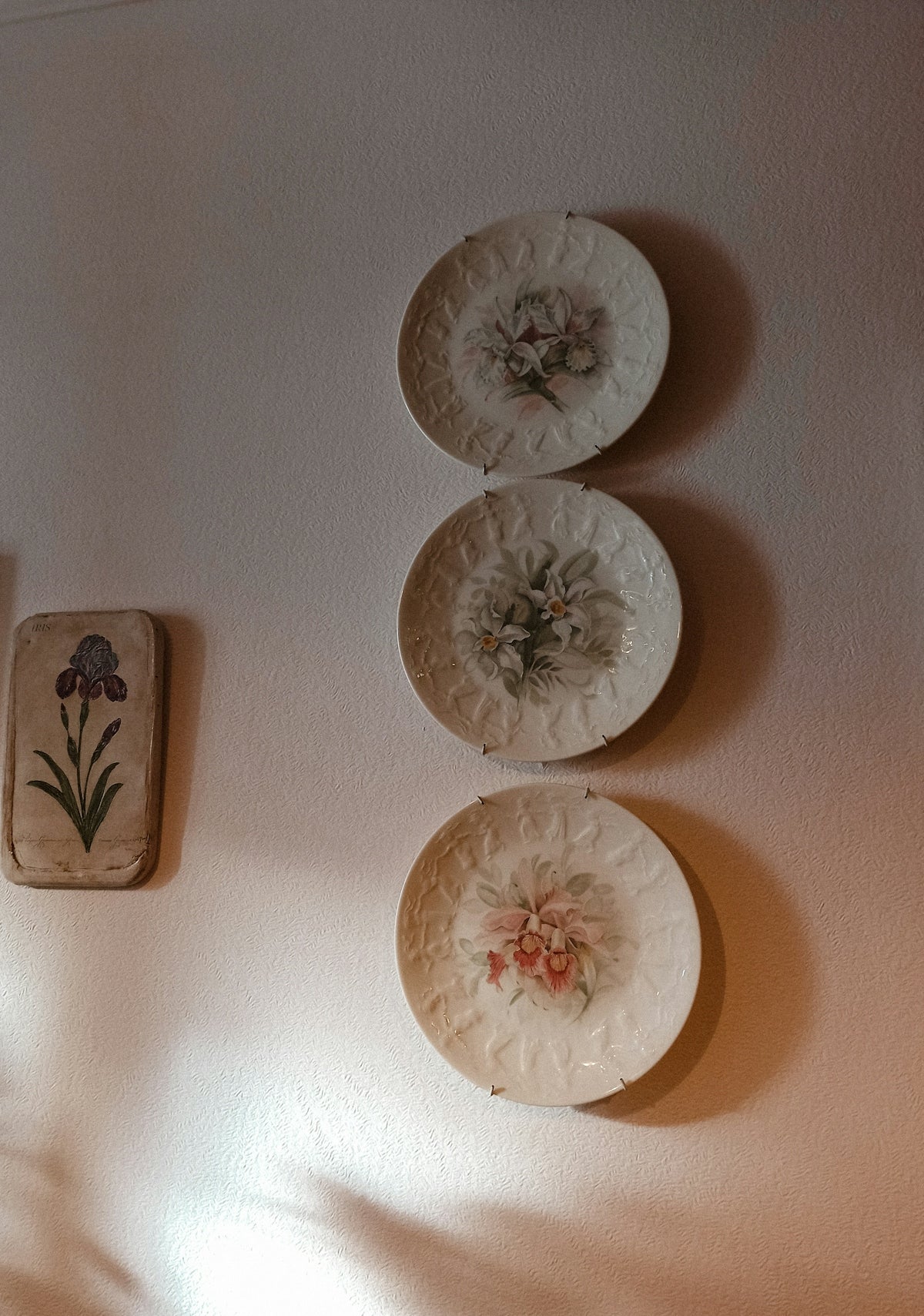 white and brown floral ceramic plates