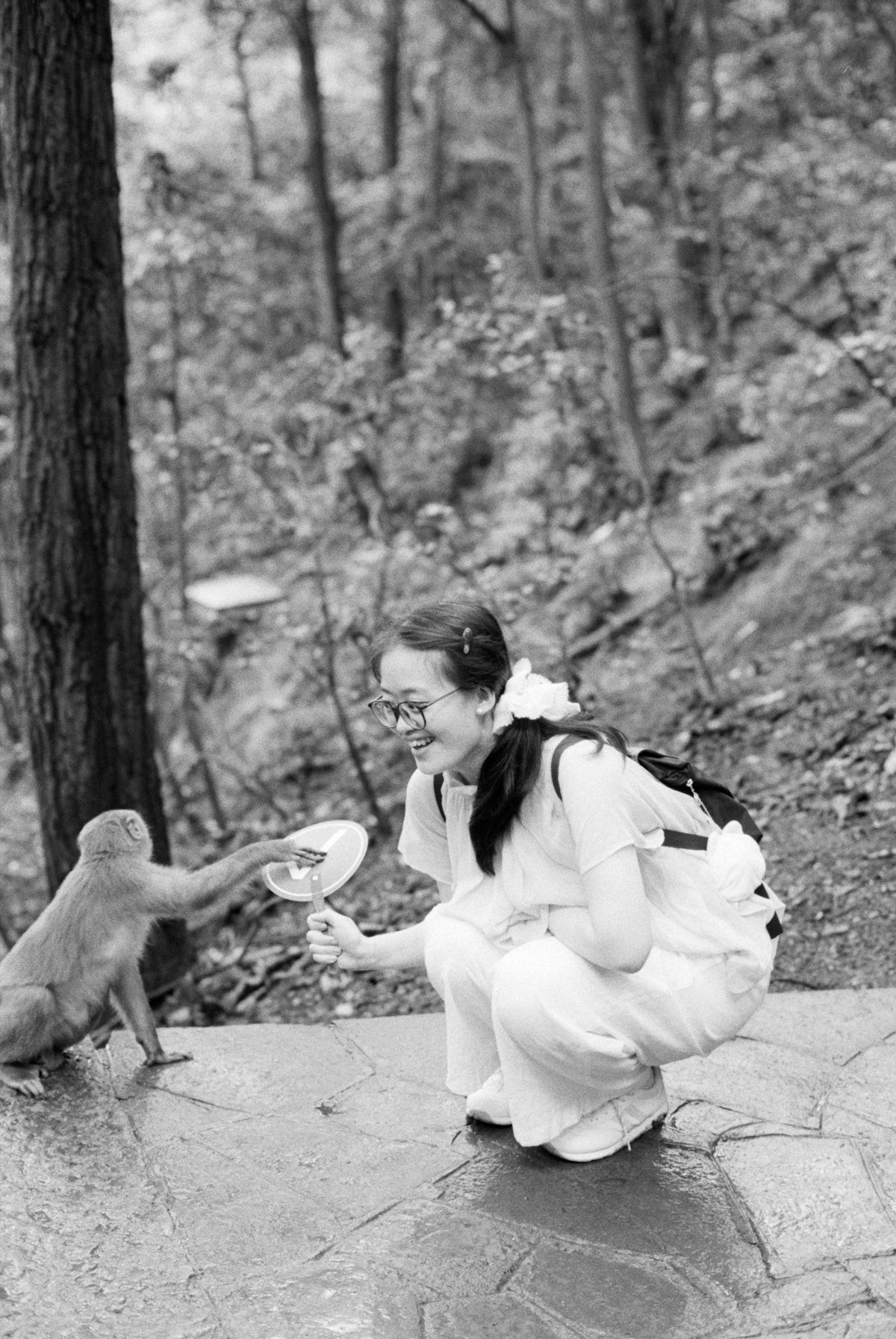 A woman crouching and holding a hand fan toward a small monkey outdoors