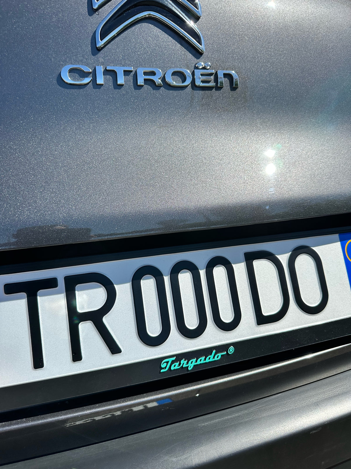 Modèle Mamba / Logo Targado vert