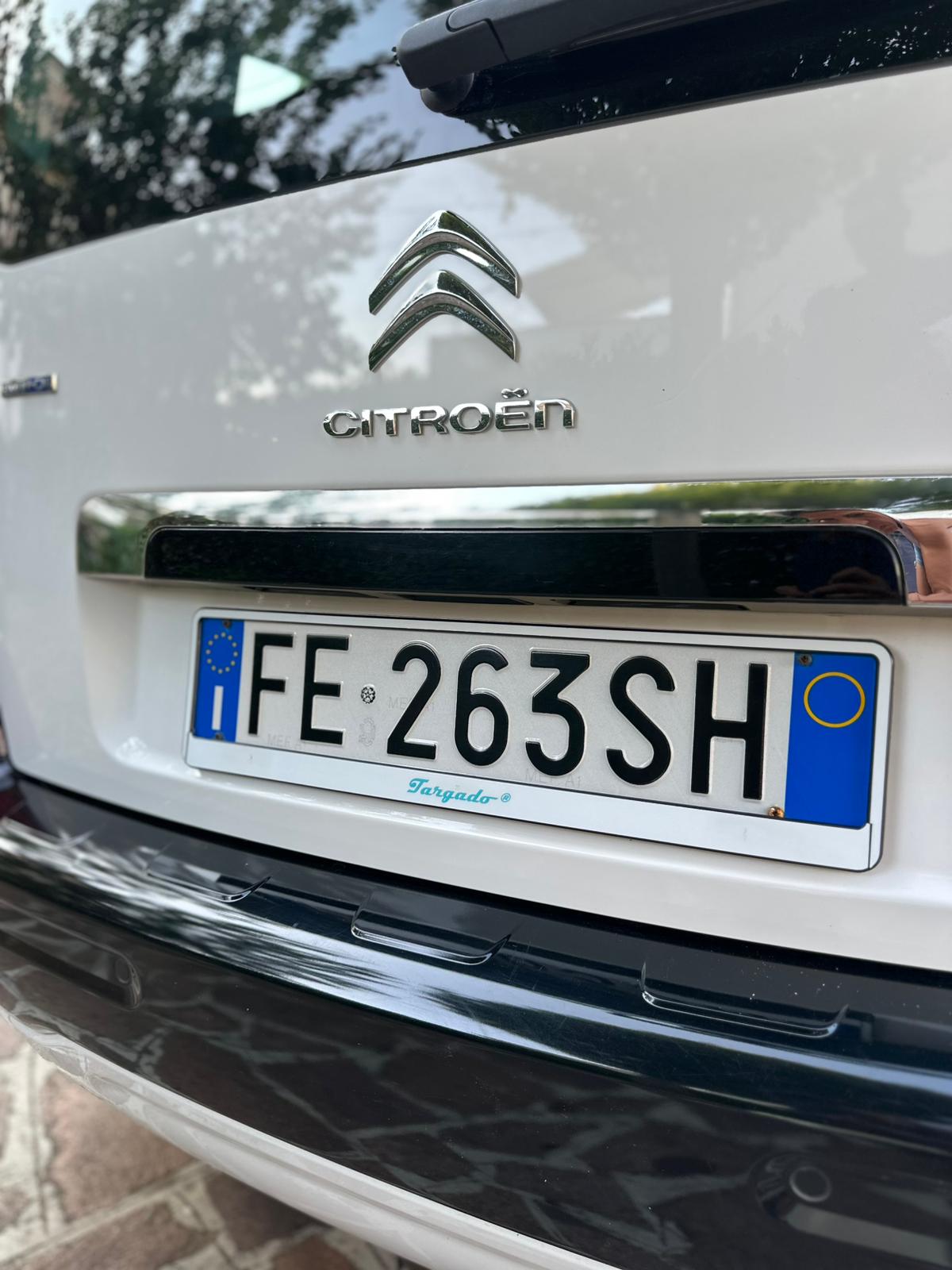 Modell Schneeflocke / Logo Targado Grün
